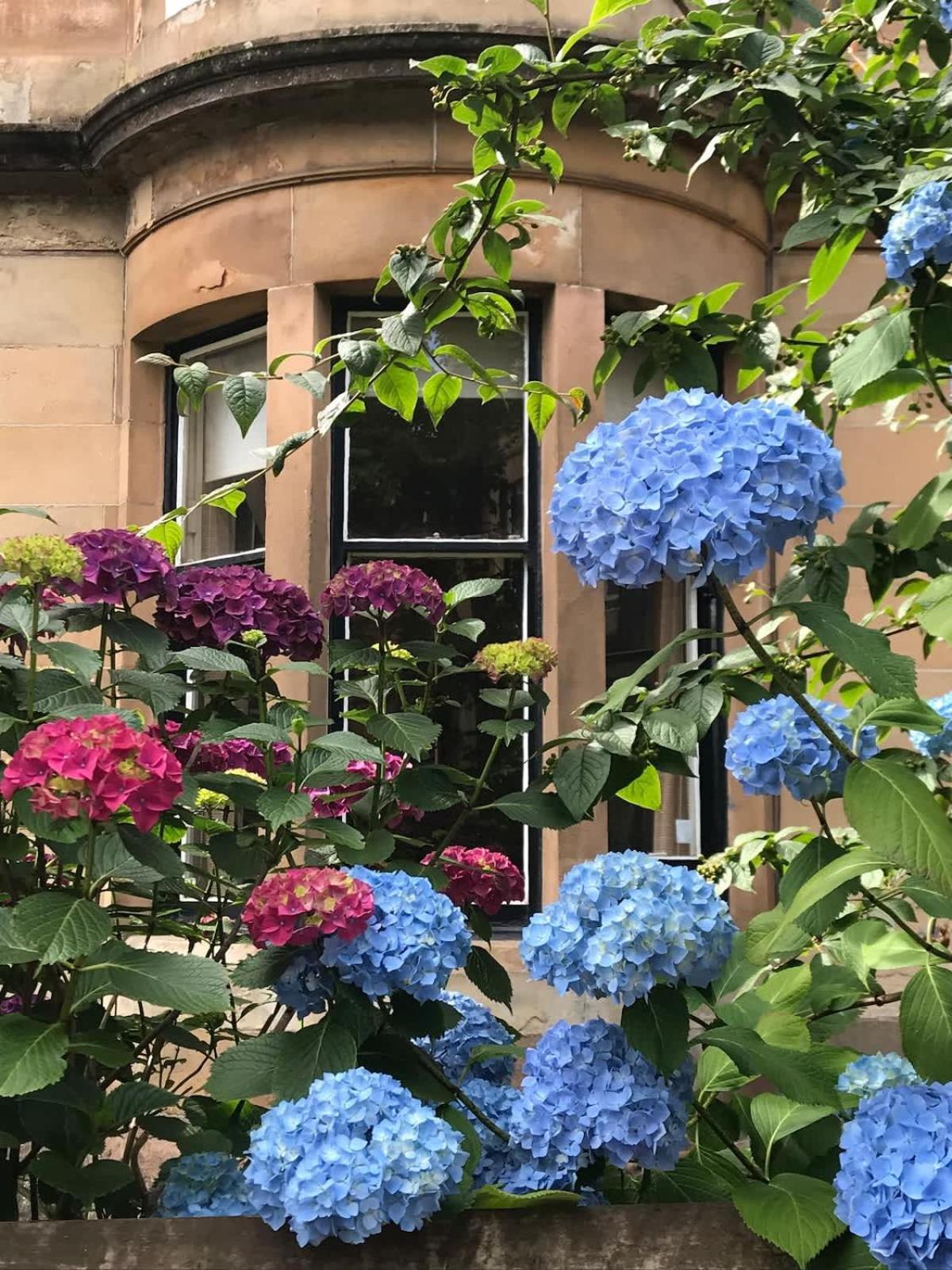 Elegant Victorian In Glasgow's West End Glasgow