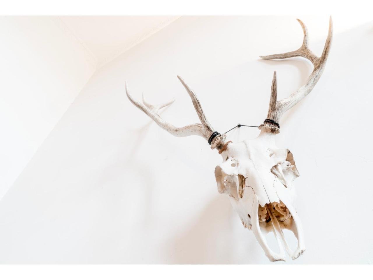 Beautifully Kept Mezzanine Flat ★school Of Art★ Glasgow